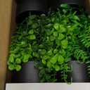 Der Rose Fake Plants 4 Packs Artificial Plants Small Faux Plants Black Bathroom Accessories for Halloween Bathroom Home Kitchen Coffee Table Office Desk Decor Indoor (Green)