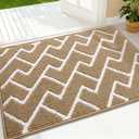 OLANLY Front Door Mat, Non-Slip Rubber Backing, Dirt Resistant and Absorbent, Washable, Easy to Clean Low-Profile Indoor Doormat for Back Door, Entryway, Inside Entrance, 32x20, Beige