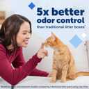 PetSafe ScoopFree Disposable Crystal Cat Litter Tray - Easy Cleaning Box - Refill Tray for Automatic Litter Box - Fresh Scent - 4.3 lb Bags - 3 Pack