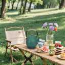 Enameled Cast Iron Teapot 34oz1000ml - Japanese Style Kettle with Removable Stainless Infuser & Ergonomic Handle, Stovetop Safe for Loose Leaf Tea Green and silver (Green and silver)