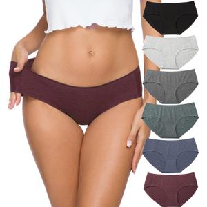 Altheanray Womens Underwear Cotton Underwear for Women Seamless Hipster Bikini Briefs Panties 6 Pack, S