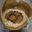 Boho Woven Seagrass Belly Basket for Storage Plant Basket or Toy Basket Living Bathroom (Large, Beige)