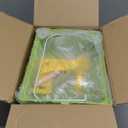 Small Bird cage,Travel Cage for Birds and Small Animals, Parakeet cage,Bird Carrier Travel cage,Bird Travel cage, jaulas para pjaros,Green,(S)