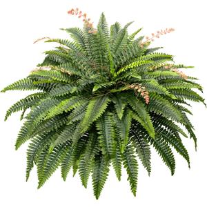 CQURE 108 Branches Fake Ferns Artificial Plants Large, 50" 1 Artificial Boston Fern Faux Hanging Fake Plants for Outdoors Planter Home Garden Decor