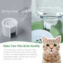 Dog Bowls, Cat Food and Water Bowl Set with Water Dispenser and Stainless Steel Bowl for Cats and Small Dogs - Green