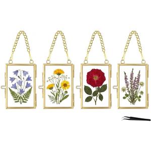 Pressed Flower Frames with Tweezers,Wall Hanging Double Glass Frames 2x3 with Metal Chain for Dried Flowers Plants,Floating Photo Frame for Display Gallery Artwork,Golden, 4 Pack