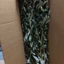 Realead Artificial Olive Tree 9ft - Large Faux Olive Tree with Realistic Leaves and Olives - Full and Grand Design Fake Olive Tree with Sturdy Base for Indoor Outdoor Office Decor