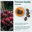 Soeos Chinese Cardamom Seeds, Amomum Tsaoko, Caoguo, 1lb (EXP 11/11/26)