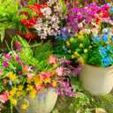 26 Bundles 13 Style Artificial Flowers for Outdoors Multicolor Fake Flowers Plastic Plants Faux Lavender Pansies UV Resistant for Spring Summer Garden Patio Hanging Planter Window Box Vase Decor