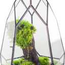NCYP Modern Black Glass Geometric Terrarium Container with Door - Balcony Planter DIY Display Flower Pot for Succulent Fern - Tabletop Miniature Botanical Fairy Garden (No Plants)