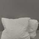 MIULEE 24x24 Euro Pillow Inserts, Pack of 2 Down Feather Premium Throw Pillows with Cotton Fabric for Bed Couch Living Room Sofa