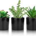 Hopewood Artificial Succulents Faux Potted Plant Decor, Small Fake Plants in Black Pot, Realistic and Lifelike for Book Shelf, Desk Decor, Home Office, Kitchen, or Bathroom Decor - Pack of 3
