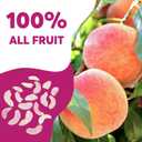 ONETANG Freeze-Dried Fruit Peach Chips, 9 Pack Single-Serve Pack, Non GMO, Kosher, No Add Sugar, Gluten free, Vegan, Holiday Mothers Day Gifts, Healthy Snack 0.35 Ounce, Best By: JUN/02/2026