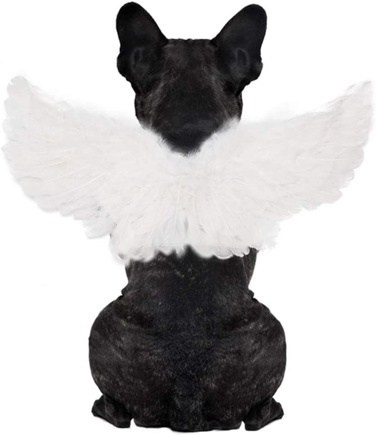 WeeH Pet Halloween Costume Cosplay Angel Devil Black White Wing for Dog Cat Rabbit Piggy - Funny Gift at Halloween Party Anime Theme Birthday Christmas (White, Large) (23.6 inch x 9.8 inch)