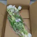 DUYONE 15pcs Artificial Tulips Flowers,Latex Bouquet, Fake Tulips for Office Wedding Party Home Kitchen Garden Decoration(White,15pcs)