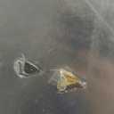 VIZ-PRO Magnetic Whiteboard/Dry Erase Board, 48 X 36 Inches, Silver Aluminium Frame