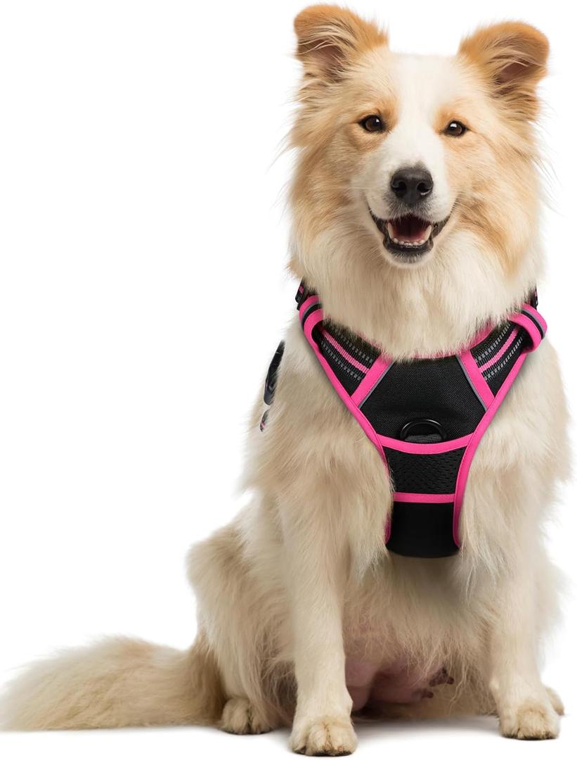 rabbitgoo Dog Harness No Pull with 2 Leash Clips, Adjustable Soft Padded, Reflective Oxford No Choke Pet Vest with Easy Control Handle for  Dogs, Black & Hot Pink, M