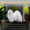 RVZONE RV Screen Door Protector Adjusts from 21.5"- 35", RV Entry Screen Door Grille Adjustable Screen Defender for RV Door Camper Screen Door Protector for Dogs Kids