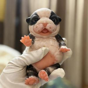 7 Inch Silicone Reborn Dog Dolls, Lifelike Full Silicone Soft Mini Dog Dolls Mini Newborn Soft Cute Animals Toy for Kids
