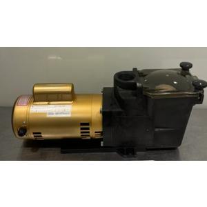 SP1503 Pool Pump ASSY 110-220V 1.5HP 1PH