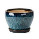 Small Blue Round Tray Green Plant Pot Container, Plant Stand Flower Stand Desk Desktop Desktop Indoor Home and Garden, Plant Pot