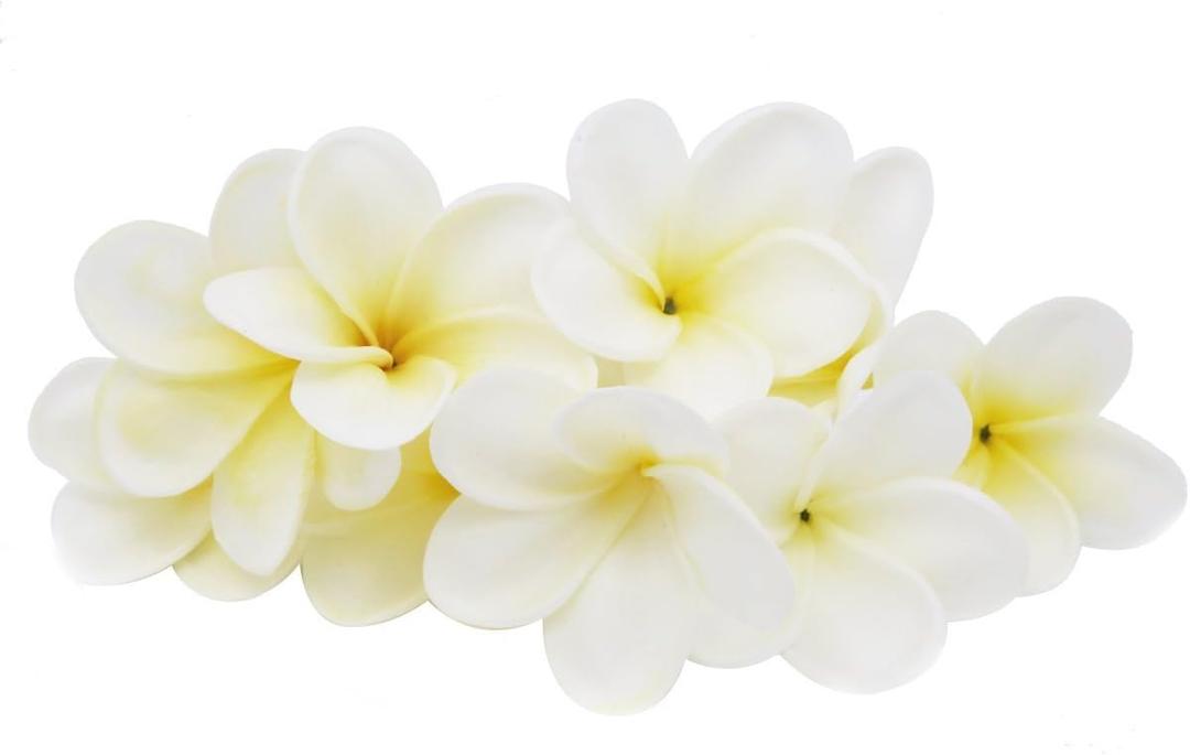 Winterworm Bunch of 10 PU Real Touch Lifelike Artificial Plumeria Frangipani Flower Bouquets Wedding Home Party Decoration (Yellowish White) Winterworm Bunch of 10 PU Real Touch Lifelike Artificial Plumeria Frangipani Flower Bouquets Wedding Home Party Decoration (Yellowish White)