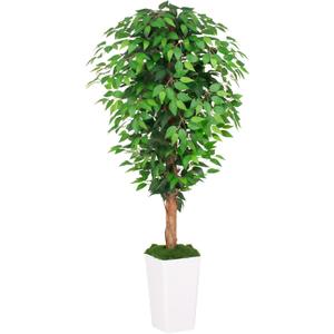 5ft Ficus Artificial Tree with 3 Natural Curved Trunks, 60" Tall Lush Faux Tree for Home Decor Indoor, Green Lifelike Fake Ficus Tree with White Planter Pot