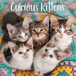 TURNER PHOTOGRAPHIC Curious Kittens 12x12 Photo Wall Calendar (26998940017)