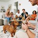 AceThrills Positive Crochet Animal, Dachshund Gifts for Women, Funny Handmade Emotional Support Best Friends Christmas Birthday Graduation Gifts for Women Men Dachshund Decor