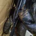 Greenworks 80V 21" Brushless Cordless (Self-Propelled) Lawn Mower (75+ Compatible Tools), 4.0Ah Battery and 60 Minute Rapid Charger Included