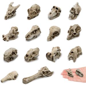 14 Pcs 1.5 Inch Mini Resin Animal Skull Heads Miniature Animal Skull Figurines Mini Halloween Skulls Mini Skull Figurine Miniature Skulls for Crafts Halloween Christmas Micro Landscape Decor