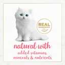 Purina Fancy Feast Grain Free Pate Wet Kitten Food Gourmet Naturals Wild Alaskan Salmon Recipe - (Pack of 12) 3 oz. Cans (EXP 05/11/28)