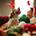 Christmas Dog Collar with Bow Tie - Cute Green Christmas Santa Dog Collars, Adjustable Heavy-Duty Winter Holiday Bowtie Collar for Small Medium Large Boy Girl Dogs XL