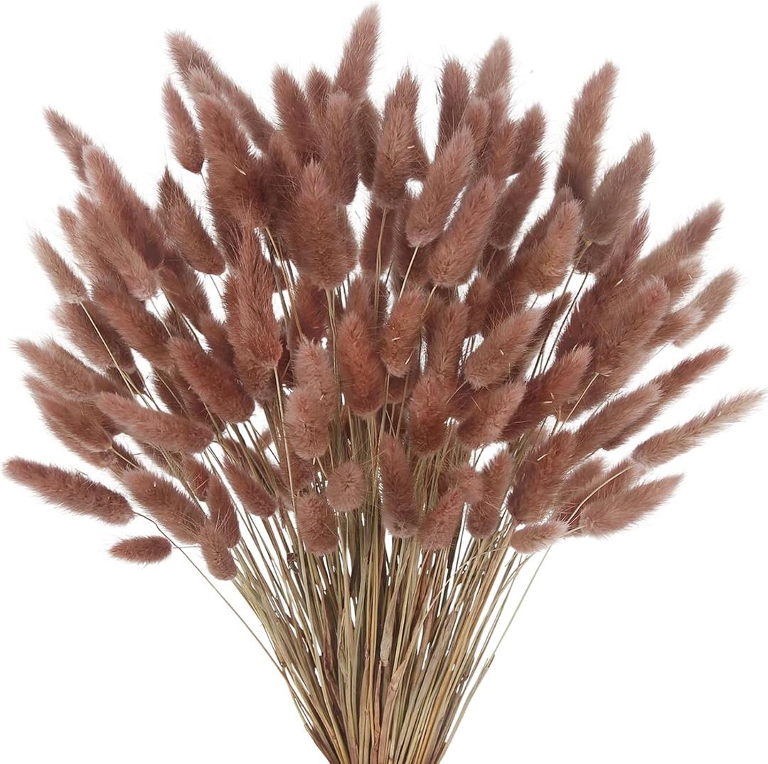 CISDUEO 120pcs Dried Bunny Tails Flowers Lagurus Ovatus Tail Dried Flowers Pampas Grass Red Brown Natural Dried Floral Arrangement for Boho Decor Home Wedding DIY Farmhouse Table Christmas
