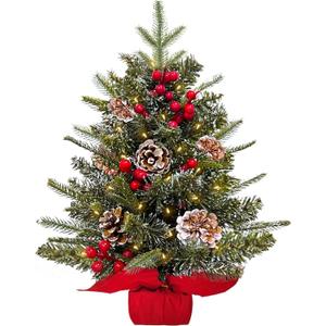 2ft Tabletop Christmas Tree, 24" Mini Small Christmas Tree with Timer 30 LED Warm Lights, Realistic-Feel PE Norfolk Pine Frosted Branches Red Berry Pincone Cloth Base Indoor Home Christmas Decorations (Flocked White-24 Inch)