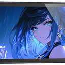 9.16 Inch LCD Mini Secondary Monitor PC Computer|Customizable 1920*480 IPS Temperature display screen|USB TYPE-C 9-Pin Motherboard Connection for Laptop Computer Windows GPU CPU-Black