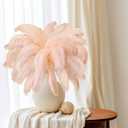 Maitys 90 Pcs Large Natural Ostrich Feathers Bulk 14-16 Inch (35-40cm) 12-14 Inch (30-35cm) 10-12 (25-30cm) Ostrich Feathers Plumes for Centerpieces Wedding (Champagne)