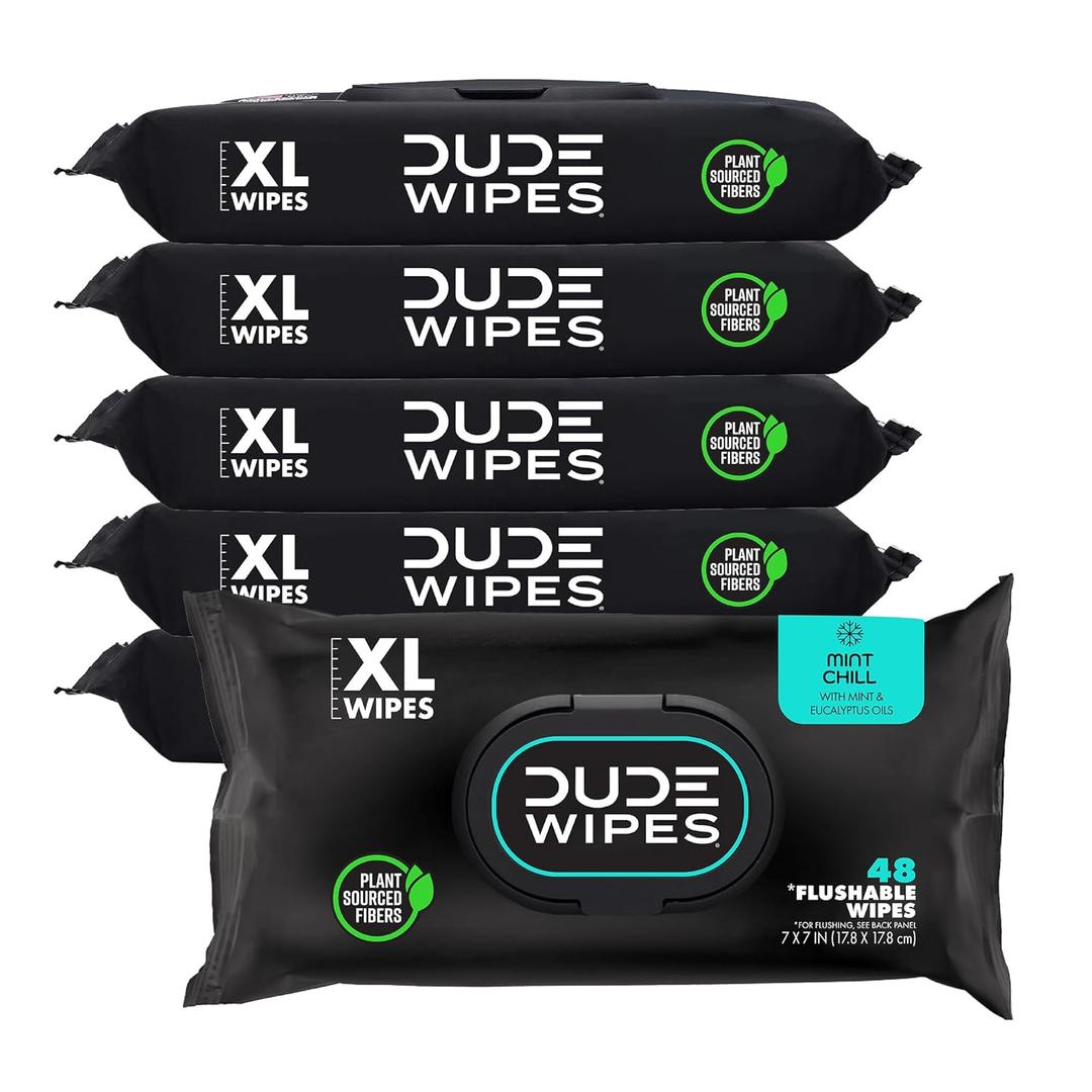 DUDE Wipes - Flushable Wipes - 6 Pack, 288 Wipes - Mint Chill Extra-Large Adult Wet Wipes - Vitamin-E, Aloe, Eucalyptus & Tea Tree Oils - Septic and Sewer Safe (48 Count (Pack of 6))