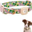 2 x Elegant Little Tail Airtag Dog Collar, St Patrick's Holiday Collar With Holder, Cute Adjustable Puppy Collar for Large Dogs (Large (Pack of 1), Rainbow Lucky Clover)