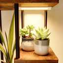 Bamworld Plant Stand with Grow Light for Indoor Plants Corner 8 Tier Metal Plant Shelf Wood Flower Stand for Home Living Room Decor Patio Decor