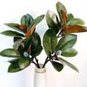 32 Inch Magnolia Artificial Leaves Branches 3D Plastic Printing Houseplant Plant Indoor Outdoor Home Decor (Dark Green - Pack of 2)