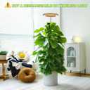 yadoker Plant Grow Light, LED Growing Light Full Spectrum for Indoor Plants,Aluminum Wood Grain Plant Lights,Height Adjustable, Automatic Timer, 5V Low Safe Voltage,Idea for Large Plant Light (1 Pack)