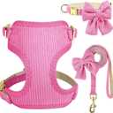 Didog Cute Small Dog Harness Collar and Leash Set with Bowtie, Breathable Soft Mesh Padded Puppy Harness, Dog Harness for Small Dogs Daily Walks Parties, Holiday Gatherings & Gifts, Hot Pink, S