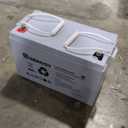 Renogy Deep Cycle AGM 12 Volt 100Ah Battery, 3% Self-Discharge Rate, 1100A Max Discharge Current, Safe Charge Appliances for RV, Camping, Cabin, Marine and Off-Grid System, Maintenance-Free