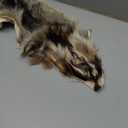 1pcs Natural Tanned American Raccoon Fur Hide Whole Skin Pelts with High Grade Professionally Taxidermy Crafts Sewing Leather for Coats, Hats, Clothing About L (25.6-27.6) x W (7.9-15.7) inch, Brown