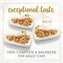 Purina Fancy Feast Delights with Cheddar Grilled Chicken, Turkey or Whitefish and Cheddar Cheese Feast in Gravy Wet Cat Food Variety Pack - (Pack of 24) 3 oz. Cans (EXP 03/31/28)