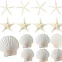 15 PCS 3-4 Inches Large Starfish 2-6 Inch Mixed Natural Scallop Shells Perfect for Wedding Decor Beach Theme Party, Home Decorations, DIY Crafts, Fish Tank
