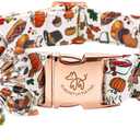Elegant Little Tail Flower Dog Collar for Small Dogs (Small (Pack of 1), Pumpkin with Turkey)