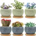 3 inch Ceramic pots for Plants, Small Succulent Pots Set with Drainage, 6 Pack Flower Pot for Indoor Plant, Planters for Little or mini Cactus 2 inches Plants (Green/Black)