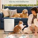 LEVOIT Smart Pet Air Purifier for Home Pets Large Room, Vital Pet Pro,White
Auto-Clean Pre-Filter, Dual Sensors for Floating Pet Hair, Allergens, High-Carbon Filter for Dander, Odor, Remote APP Control
